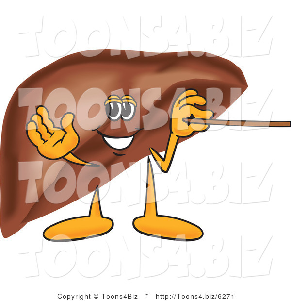 Vector Illustration of a Cartoon Liver Mascot Using a Pointer Stick