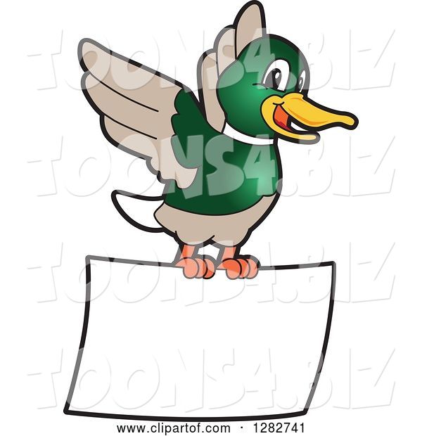 Vector Illustration of a Cartoon Mallard Duck School Mascot Flying with a Blank Sign