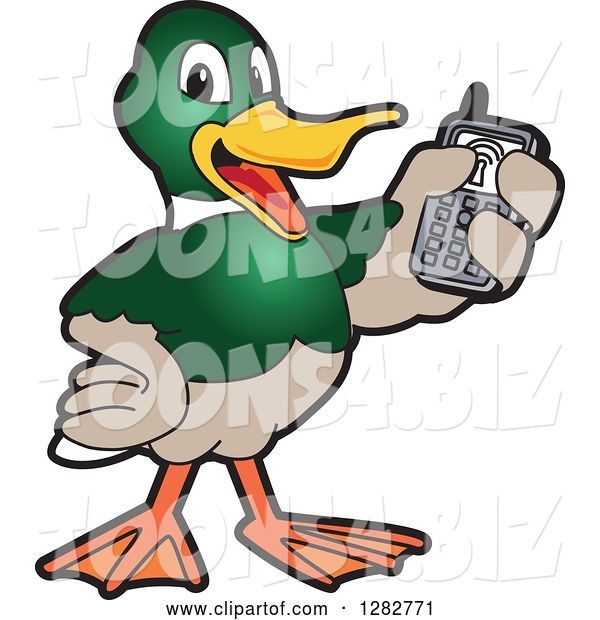 Vector Illustration of a Cartoon Mallard Duck School Mascot Holding up a Cell Phone