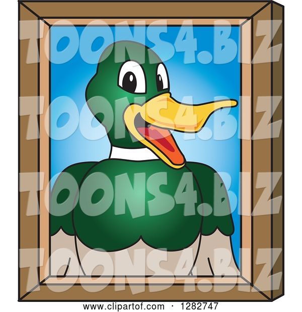 Vector Illustration of a Cartoon Mallard Duck School Mascot Portrait