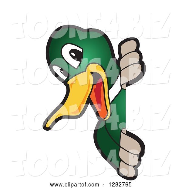 Vector Illustration of a Cartoon Mallard Duck School Mascot Smiling Around a Sign