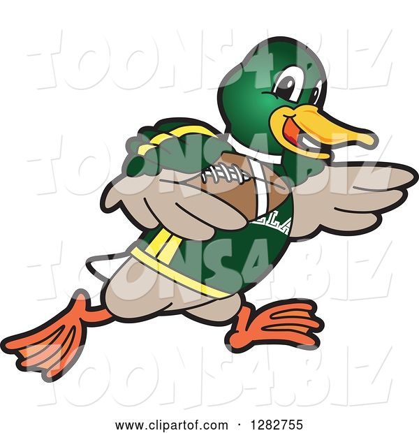 Vector Illustration of a Cartoon Mallard Duck School Sports Mascot Running with an American Football