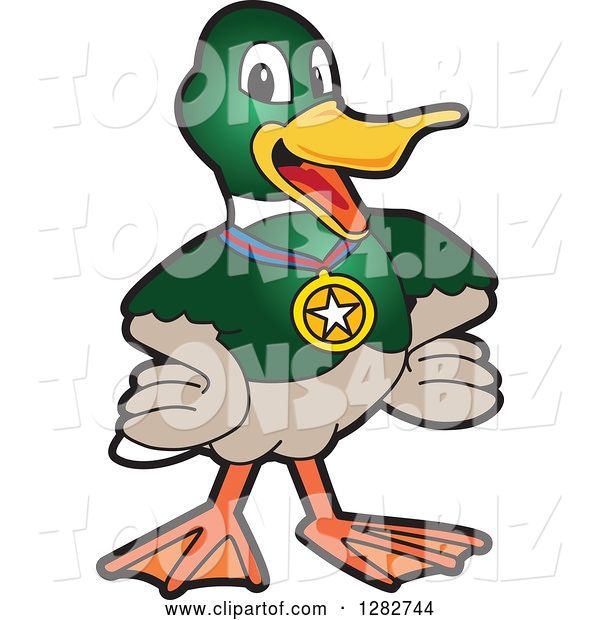 Vector Illustration of a Cartoon Mallard Duck School Sports Mascot Wearing a Medal
