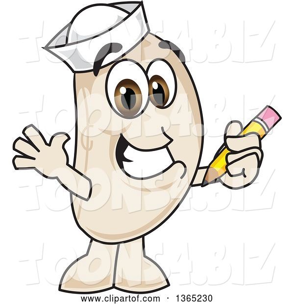 Vector Illustration of a Cartoon Navy Bean Mascot Holding a Pencil