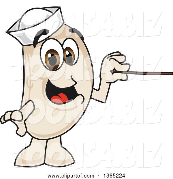 Vector Illustration of a Cartoon Navy Bean Mascot Using a Pointer Stick