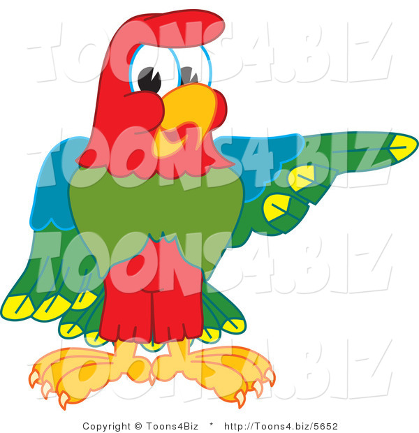 Vector Illustration of a Cartoon Parrot Mascot Pointing Right