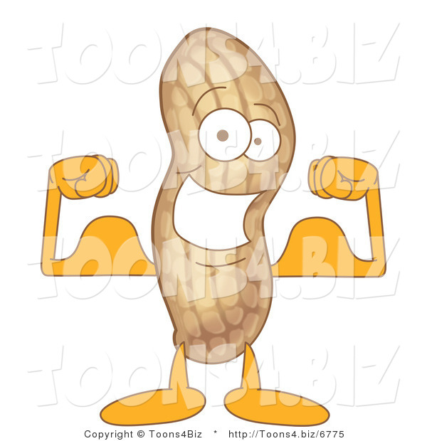 Vector Illustration of a Cartoon Peanut Mascot Flexing