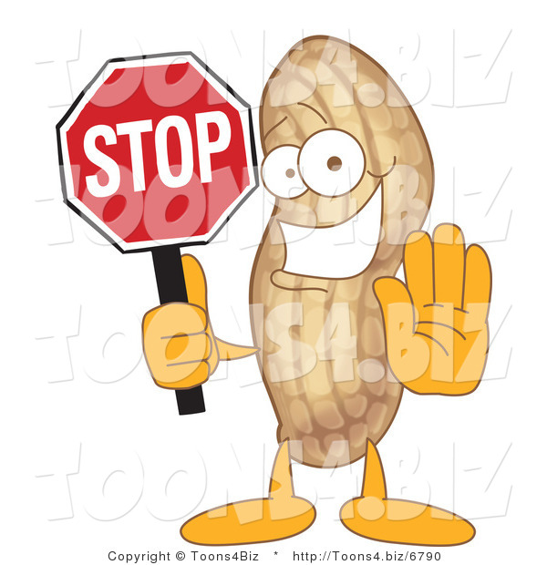 Vector Illustration of a Cartoon Peanut Mascot Holding a Stop Sign