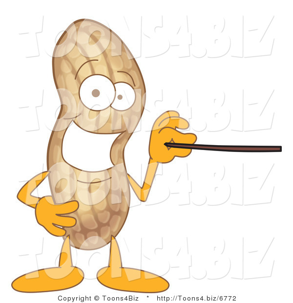 Vector Illustration of a Cartoon Peanut Mascot Using a Pointer Stick