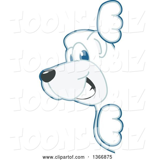 Vector Illustration of a Cartoon Polar Bear School Mascot Looking Around a Sign