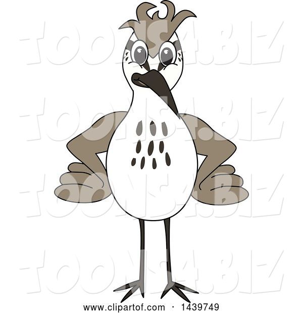 Vector Illustration of a Cartoon Sandpiper Bird School Mascot
