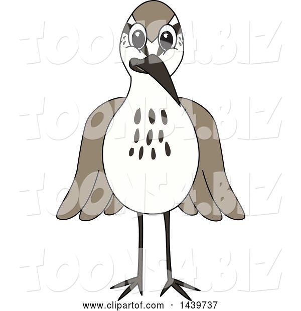 Vector Illustration of a Cartoon Sandpiper Bird School Mascot