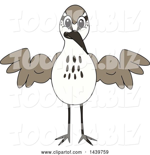 Vector Illustration of a Cartoon Sandpiper Bird School Mascot Flexing