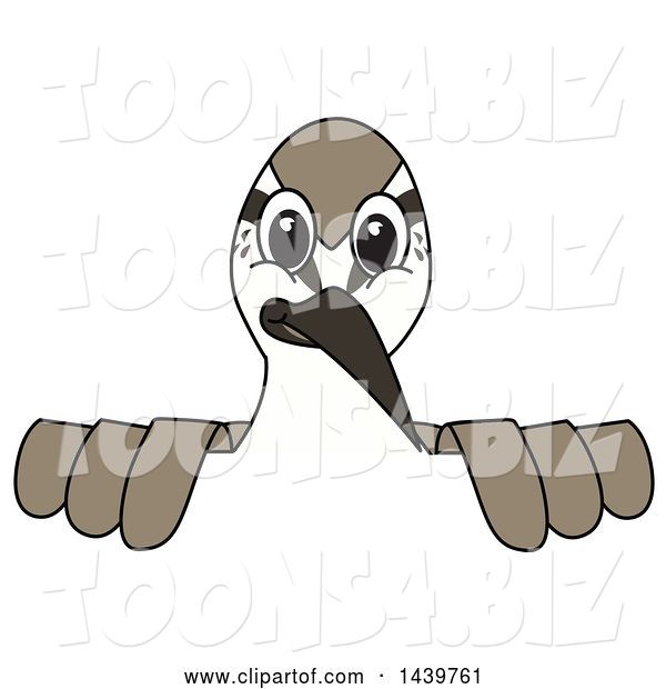 Vector Illustration of a Cartoon Sandpiper Bird School Mascot Looking over a Sign