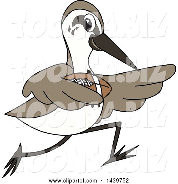 Vector Illustration of a Cartoon Sandpiper Bird School Mascot Playing Football