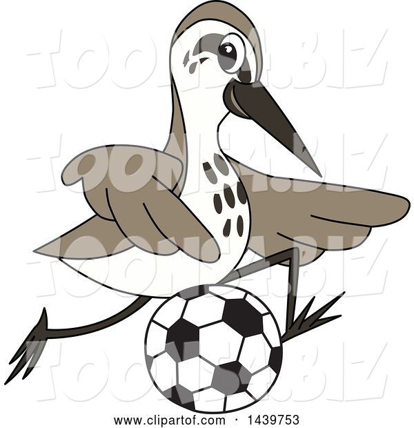 Vector Illustration of a Cartoon Sandpiper Bird School Mascot Playing Soccer