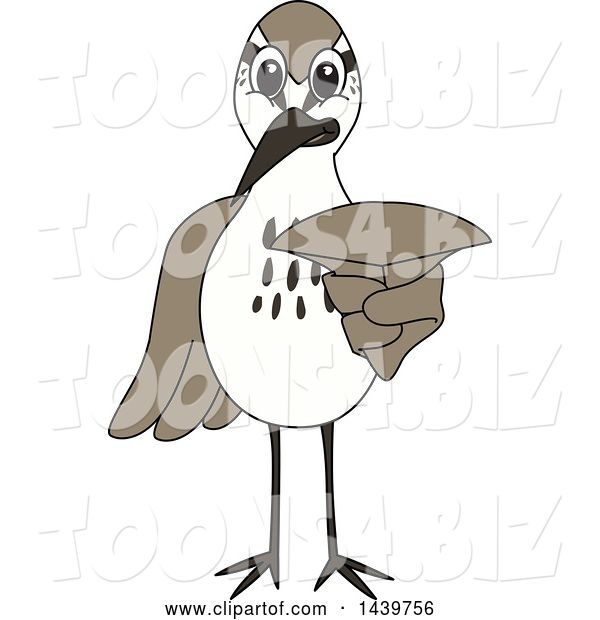 Vector Illustration of a Cartoon Sandpiper Bird School Mascot Pointing Outwards