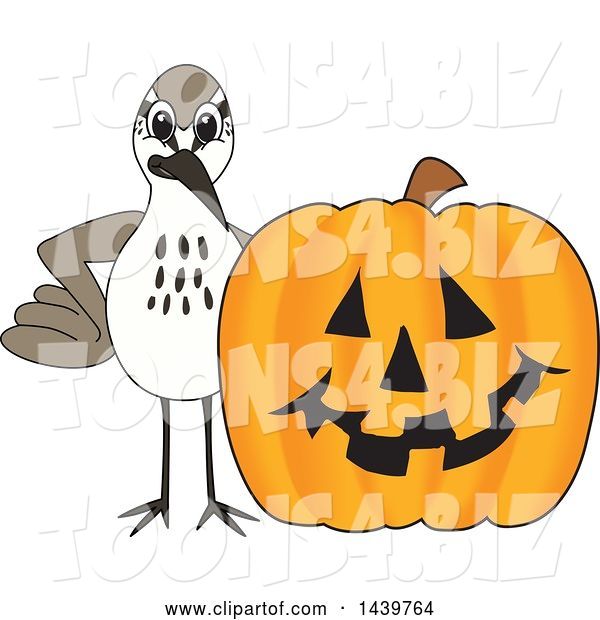 Vector Illustration of a Cartoon Sandpiper Bird School Mascot with a Halloween Pumpkin