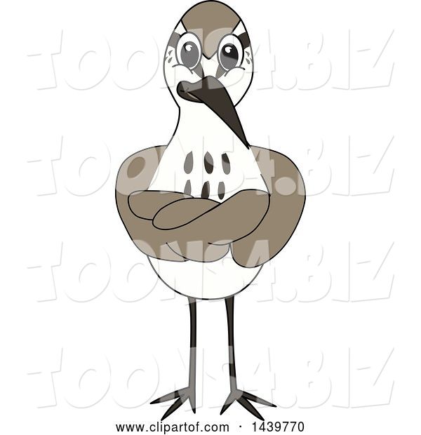 Vector Illustration of a Cartoon Sandpiper Bird School Mascot with Folded Arms