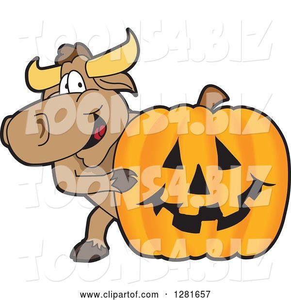 Vector Illustration of a Cartoon School Bull Mascot Smiling Around a Halloween Jackolantern Pumpkin