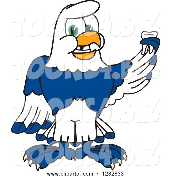 Vector Illustration of a Cartoon Seahawk Mascot Holding a Tooth That Has Fallen out