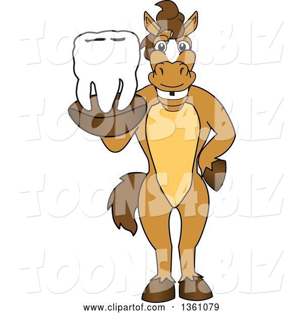 Vector Illustration of a Cartoon Stallion School Mascot Holding a Tooth