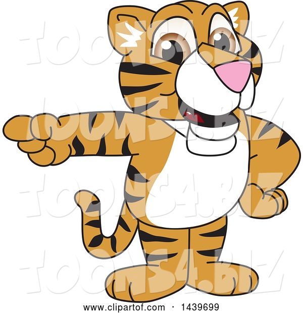 Vector Illustration of a Cartoon Tiger Cub Mascot Pointing
