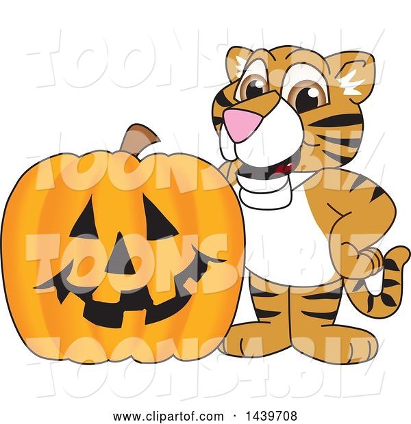 Vector Illustration of a Cartoon Tiger Cub Mascot with a Halloween Pumpkin