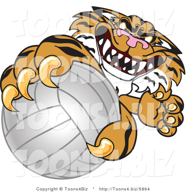Vector Illustration of a Cartoon Tiger Mascot Grabbing a Volleyball