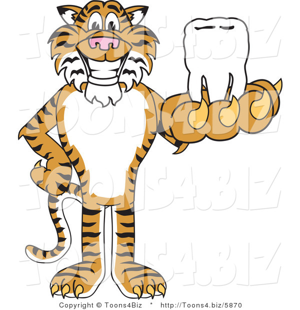 Vector Illustration of a Cartoon Tiger Mascot Holding a Tooth