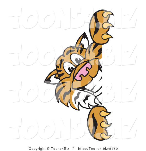 Vector Illustration of a Cartoon Tiger Mascot Looking Around a Sign