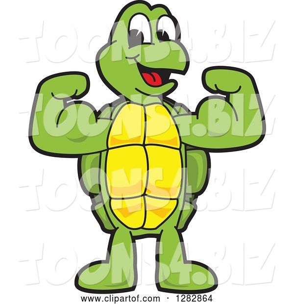 Vector Illustration of a Cartoon Turtle Mascot Flexing His Muscles
