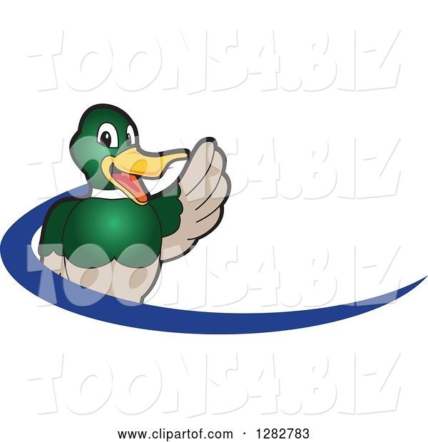 Vector Illustration of a Cartoon Waving Mallard Duck School Mascot and Blue Dash Logo