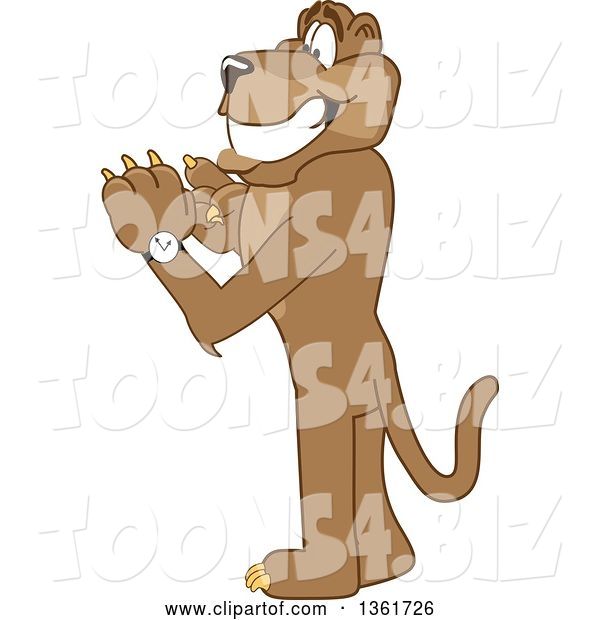 Vector Illustration of a Cougar School Mascot Checking His Watch for the Time, Symbolizing Being Dependable