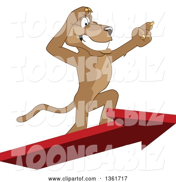Vector Illustration of a Cougar School Mascot Standing on an Arrow and Pointing, Symbolizing Leadership