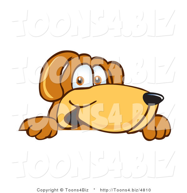 Vector Illustration of a Hound Dog Mascot Peeking over a Surface