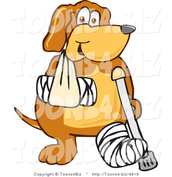Vector Illustration of a Hound Dog Mascot with an Arm and Leg Bandaged up