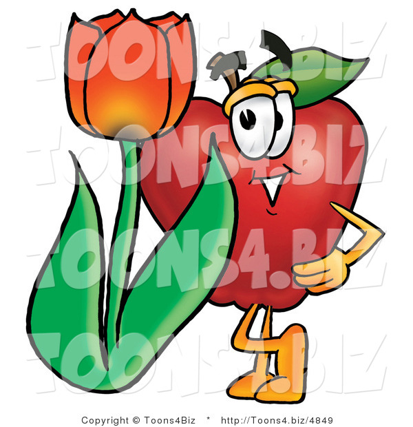 Vector Illustration of a Red Apple Mascot with a Red Tulip Flower in the Spring