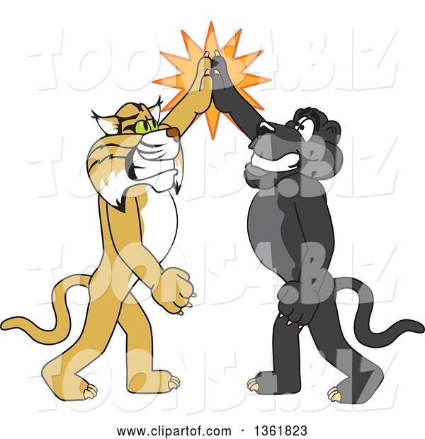 Vector Illustration of Black Panther and Bobcat School Mascots High Fiving, Symbolizing Teamwork and Sportsmanship