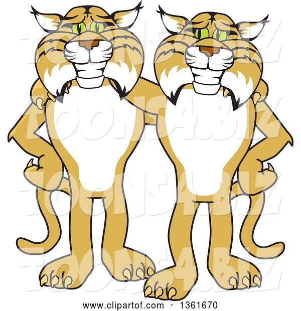 Vector Illustration of Cartoon Bobcat Mascots Standing with the Arms over Each Other's Shoulders, Symbolizing Loyalty