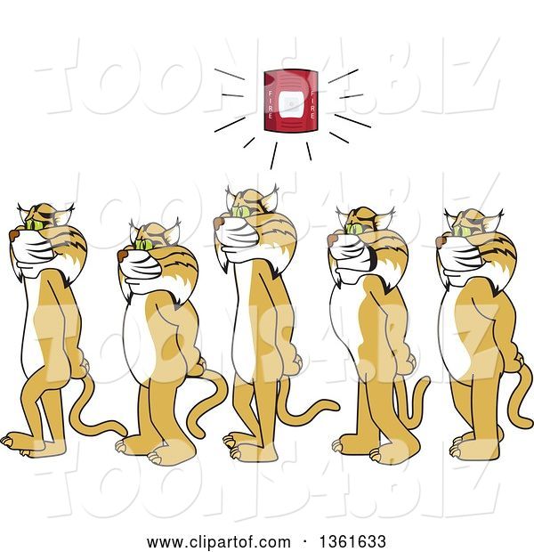 Vector Illustration of Cartoon Bobcat Mascots Walking in Line As a Fire Alarm Goes Off, Symbolizing Safety