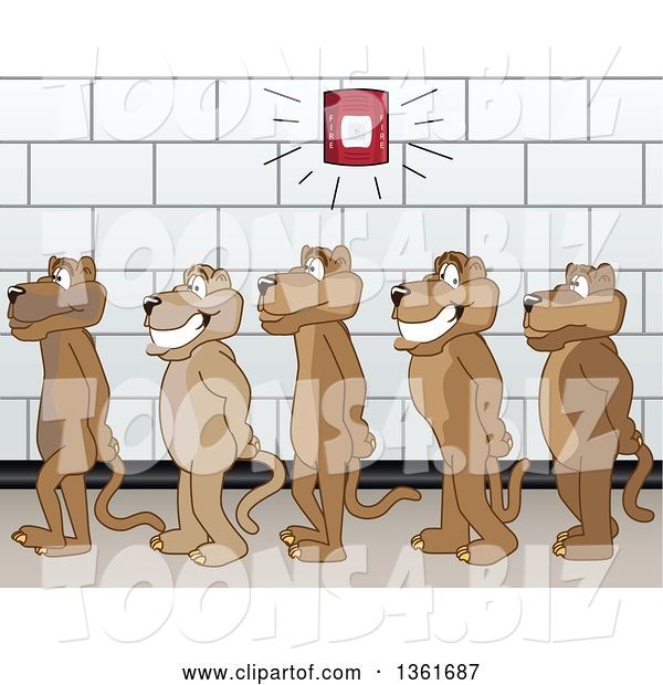 Vector Illustration of Cougar School Mascots in Line During a Fire Drill in a Hallway, Symbolizing Safety