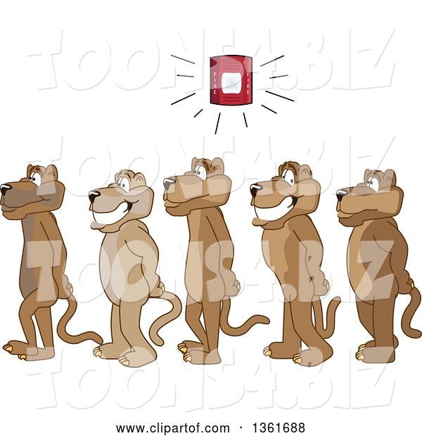 Vector Illustration of Cougar School Mascots in Line During a Fire Drill, Symbolizing Safety