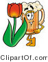 Illustration of a Beer Mug Mascot with a Red Tulip Flower in the Spring by Mascot Junction