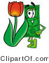 Illustration of a Cartoon Dollar Bill Mascot with a Red Tulip Flower in the Spring by Mascot Junction
