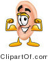 Illustration of a Cartoon Human Ear Mascot Flexing His Arm Muscles by Mascot Junction