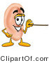 Illustration of a Cartoon Human Ear Mascot Holding a Pointer Stick by Mascot Junction
