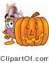 Illustration of a Cartoon Human Heart Mascot with a Carved Halloween Pumpkin by Mascot Junction