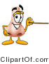 Illustration of a Cartoon Human Nose Mascot Holding a Pointer Stick by Mascot Junction