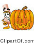 Illustration of a Cartoon Human Nose Mascot with a Carved Halloween Pumpkin by Mascot Junction